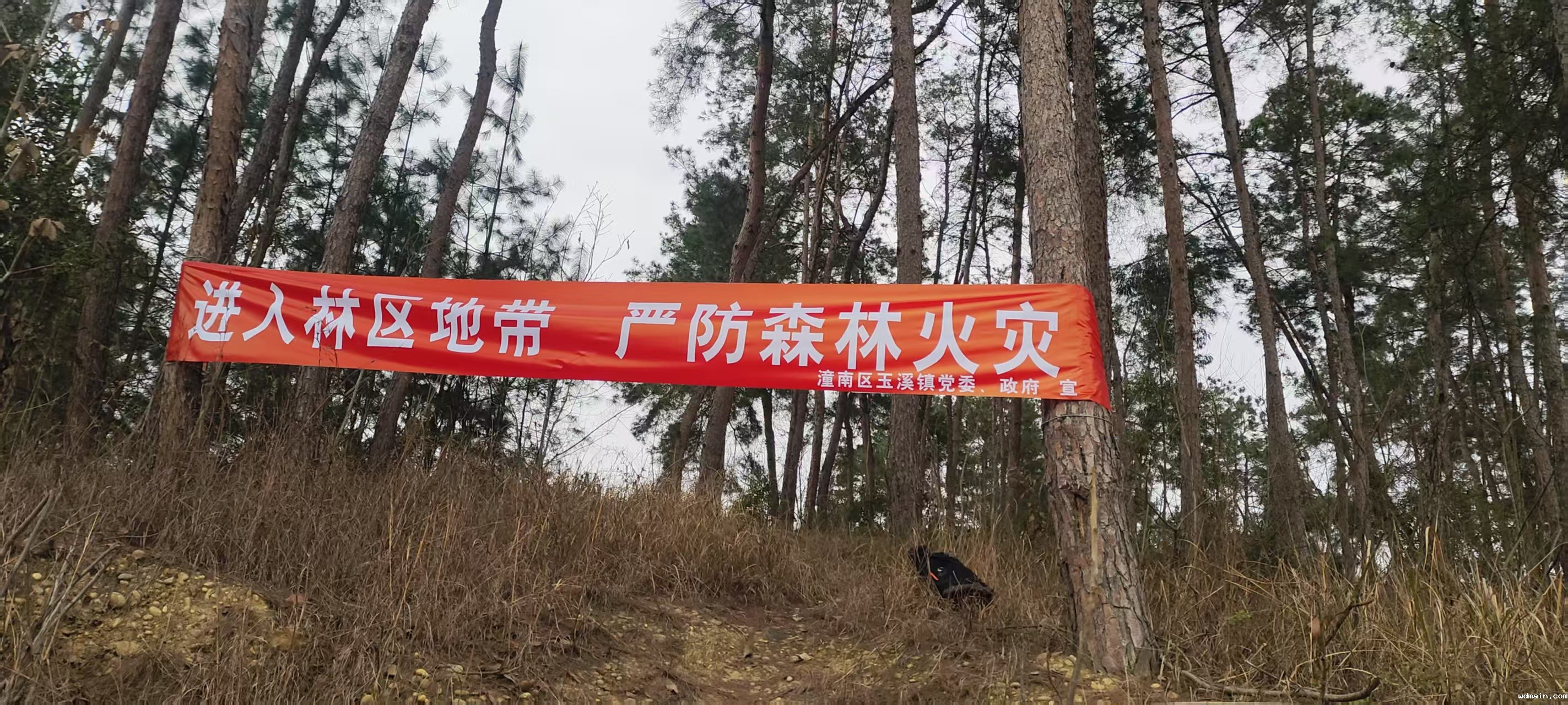 微信图片_20250403192910.jpg